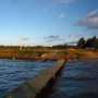 Ringkøbing Fjord at Dusk