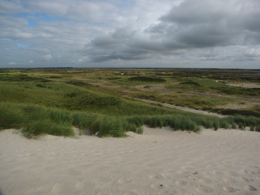 View from the Dunes Inland