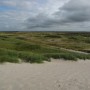 View from the Dunes Inland