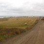 Fields