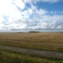 Fields