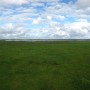 Meadows