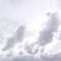 Kaddi flying the Kite