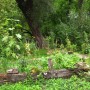 Private Garden in Erfurt