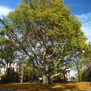 20121026-130446-canon.jpg
