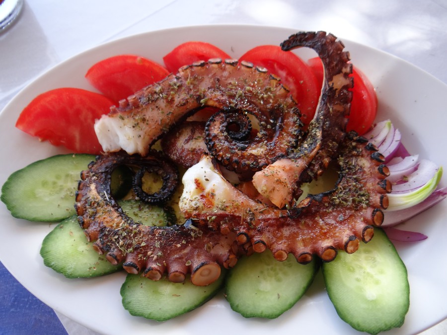 Octopus