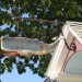 Whale Sign, New London, CT