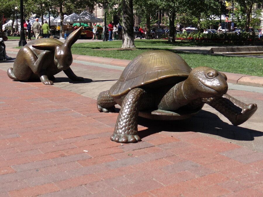 Rabbit and Turtle, Boston, MA
