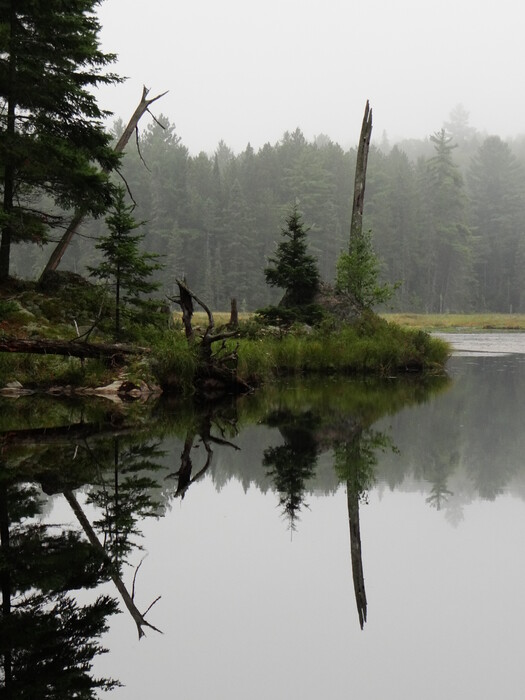 Beaver Pond at Algoquin Provincial Park
