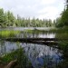 Algoquin Provincial Park