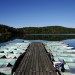 Ringwood Mill Pond, NJ