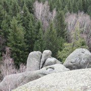 dsc03482.jpg