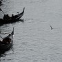 Gondolas on the Grand Canal