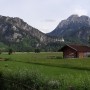 Meadows around Neuschwanstein Castle (Bavaria)