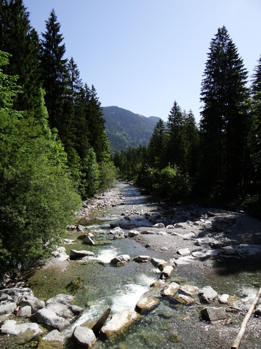 River bed (Bavaria)