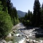 River bed (Bavaria)