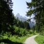 Allgäu