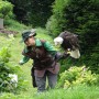 Falconry at Castle Hohenwerfen