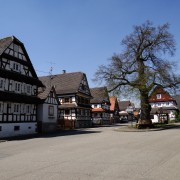 dsc09766.jpg