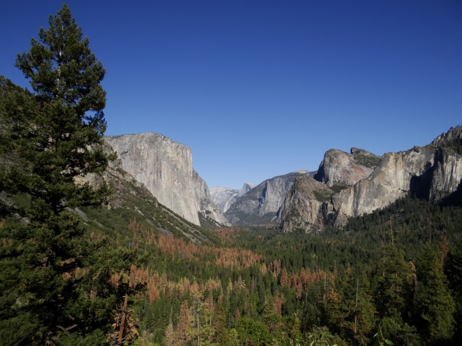 Yosemite National Park