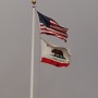 Flags