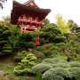 Japoanese Garden at Golden Gate Park