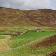 dsc02653.jpg