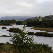dsc02850.jpg