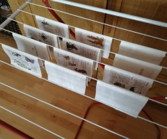 Drying