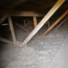 Old Insulation