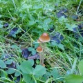 img_20201004_133735.jpg