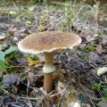 img_20201004_134809.jpg