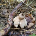 img_20201004_141625.jpg