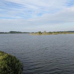 2025-06-23_07-18-46_pixel_6a.jpg
