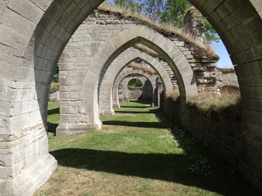 Alvastra Monastery