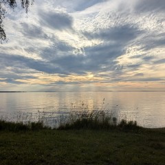2025-06-26_20-20-23_pixel_6a.jpg