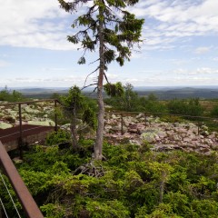 2025-06-30_12-00-59_dsc-hx200v.jpg