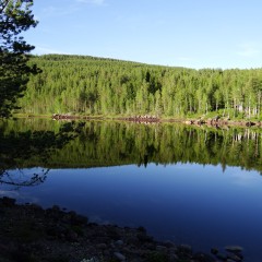 2025-06-30_19-22-32_dsc-hx200v.jpg