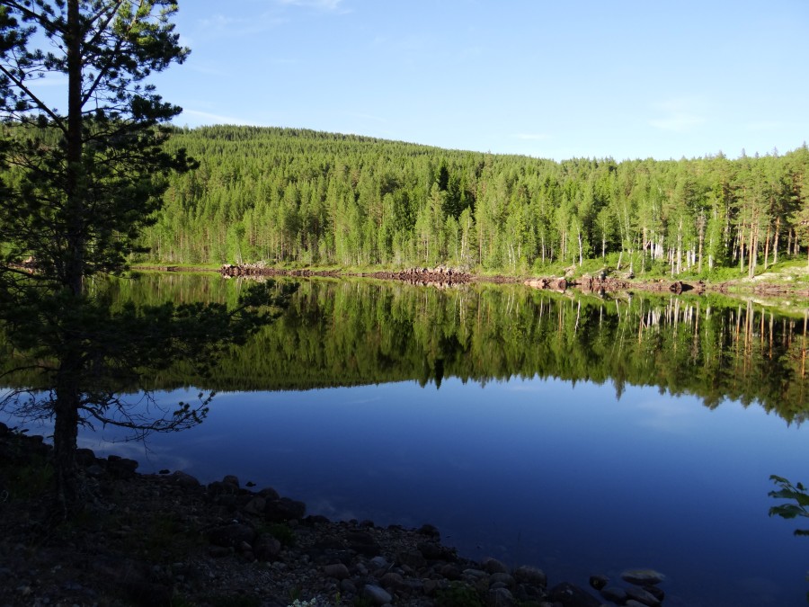 Österdalälven reflections