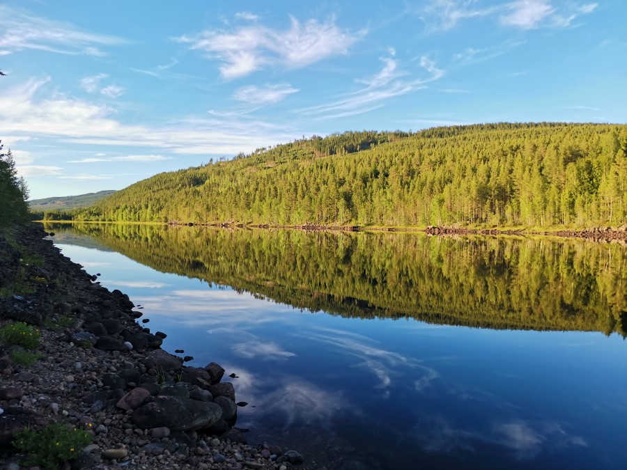 Österdalälven reflections