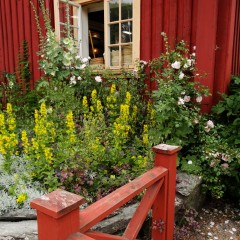 2025-07-04_10-11-26_dsc-hx200v.jpg